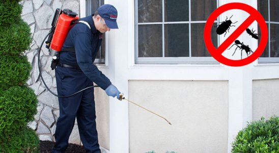 Cumayeri Hamam Böceği İlaçlama böcek ilaçlama ve haşere kontrolü — ilaclama-tr.com